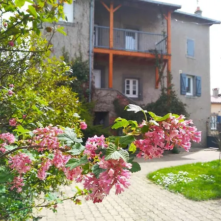 La Maison De Thuy - En Auvergne Semesterbostad Gimeaux
