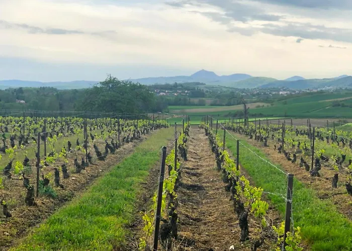 La Maison De Thuy - En Auvergne *